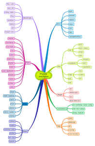 Physical description - Mind map