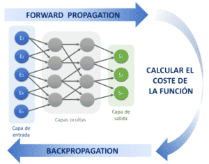 Esquema de funcionamiento - red neuronal