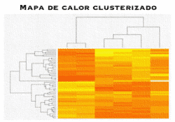 Mapa de calor clusterizado