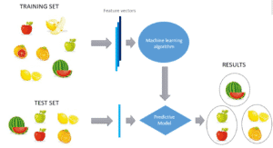 unsupervised learning